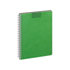 Agenda 2026 settimanale con spirale 17X24 verde lime