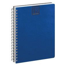 Agenda 2027 giornaliera con spirale 15x21 blu