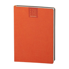 Maxi agenda settimanale 2025 arancio