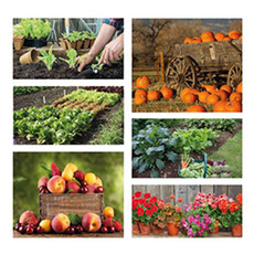 Calendario Lunario 2026 interni