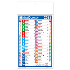Calendario Olandese 2025 Multicolor