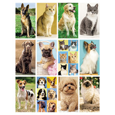 Calendario illustrato cani e gatti 2026 mensili