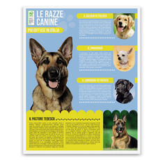 Calendario illustrato cani e gatti 2026 retro