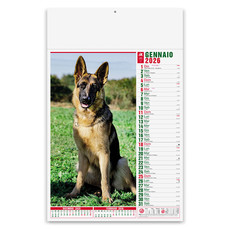 Calendario illustrato cani e gatti 2026