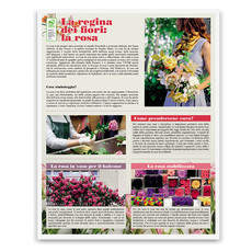 Calendario illustrato fiori 2026 retro