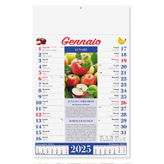 Calendario illustrato lunario 2025