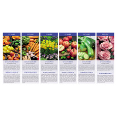 Calendario illustrato lunario 2026 mensiletti