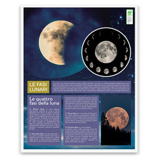 Calendario illustrato lunario 2026 retro
