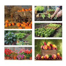 Calendario mini Lunario 2026 mensiletti