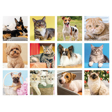 Calendario silhouette illustrato cani e gatti 2026 mensiletti