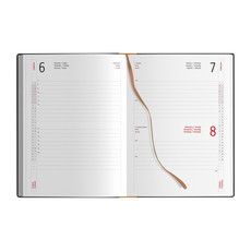 Agenda 2026 giornaliera interno