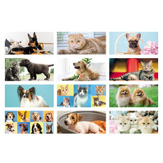 Calendario da tavolo cani e gatti 2026 mensiletti