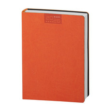 Maxi agenda 2026 giornaliera arancio