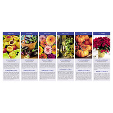 Calendario illustrato lunario 2026 mensiletti