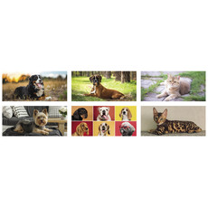 Calendario da tavolo cani e gatti 2027 dettaglio 1