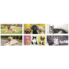 Calendario da tavolo cani e gatti 2027 dettaglio 2