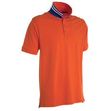 Polo piquet da uomo, retro collo a righe bicolore