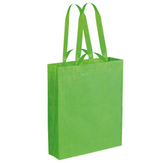 Borsa shopping