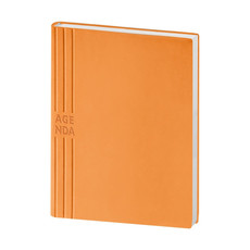 Agenda flessibile 2025 giornaliera 17X24 arancio