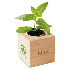 Mini vaso in legno con semi di menta colore legno