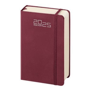 Agenda 2025 giornaliera notes bordeaux