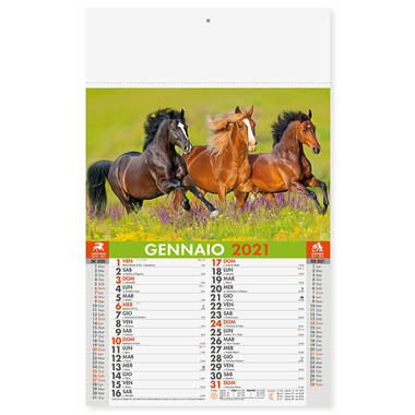 Calendario illustrato Cavalli 2021