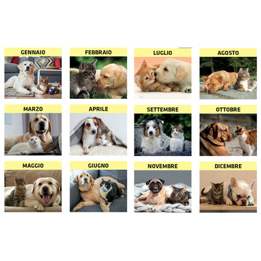 Calendario illustrato cani e gatti 2022 interni