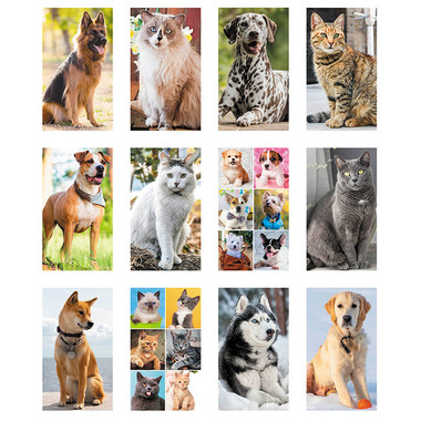 Calendario illustrato cani e gatti 2024 mensili