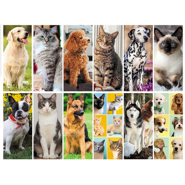 Calendario illustrato cani e gatti 2025 mensili