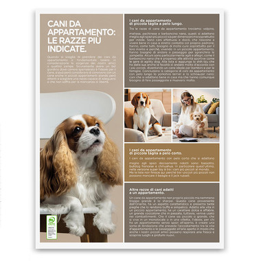 Calendario illustrato cani e gatti 2025 retro
