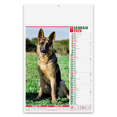 Calendario illustrato cani e gatti 2026