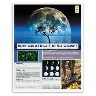 Calendario illustrato lunario 2025 retro