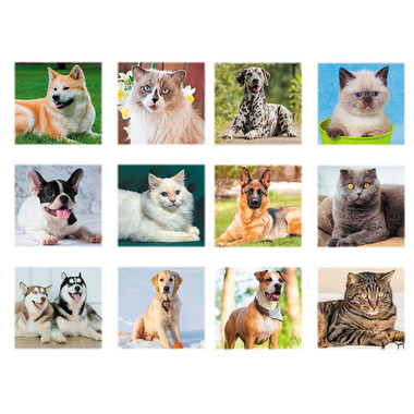 Calendario silhouette illustrato cani e gatti 2024 mensiletti