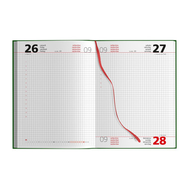 Agenda 2025 giornaliera con interno a quadretti interno