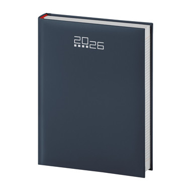 Agenda 2026 giornaliera con interno a quadretti blu