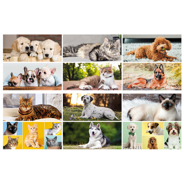 Calendario da tavolo cani e gatti 2025 mensiletti