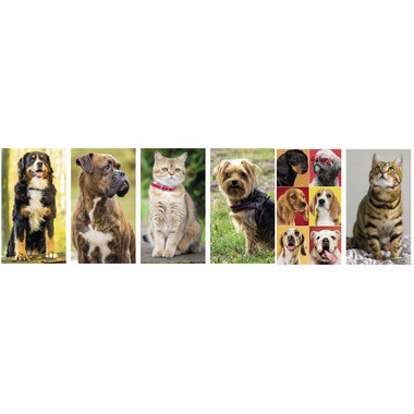 Calendario illustrato cani e gatti 2027 dettaglio 1