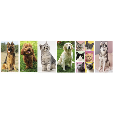 Calendario illustrato cani e gatti 2027 dettaglio 2