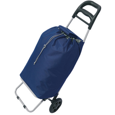 Carrello spesa