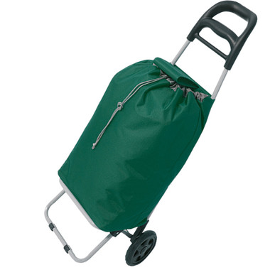 Carrello spesa