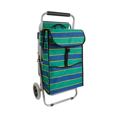 Carrello spesa con seggiolino