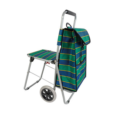 Carrello spesa con seggiolino