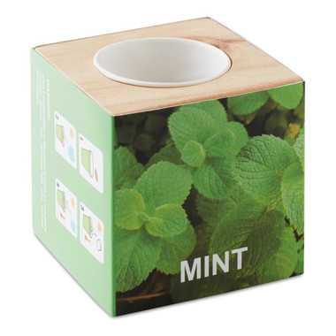 Mini vaso in legno con semi di menta colore legno MO9337-40