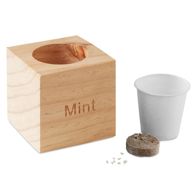 Mini vaso in legno con semi di menta colore legno