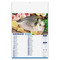Calendario illustrato pesce e pescheria 2026