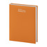 PB530 Agenda 2026 giornaliera arancio