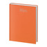 PB530 Agenda 2025 giornaliera arancio
