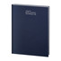 Maxi agenda 2025 settimanale blu