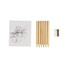 Set pastelli album e temperino colore naturale