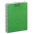 Agenda 2026 giornaliera con spirale 15x21 verde lime